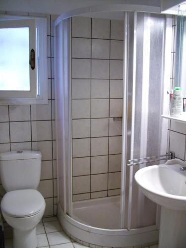 a bathroom with a toilet and a shower and a sink at Villa Pilion in Kolios