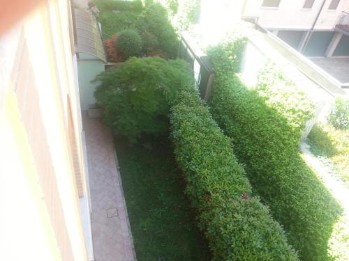 an ivy growing on the side of a building at Residenza Teodolinda in Monza