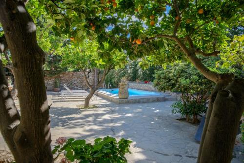 a swimming pool with an orange tree in a yard at Gli Aranci in Agropoli