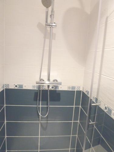 a shower in a bathroom with blue tiles at Chez Augustin in Lacanau-Océan