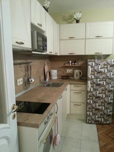 Cuina o zona de cuina de Florata apartment