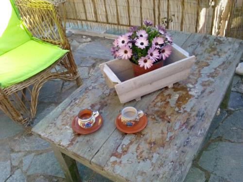a table with a potted plant and two cups of coffee at Agiasos Tranditional House in Agiásos