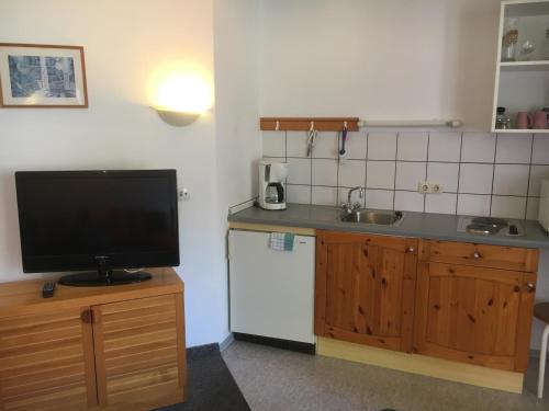 a small kitchen with a television and a sink at Apartmentanlage am Kellerberg in Zandt