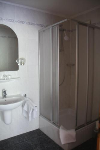 ein Bad mit einer Dusche und einem Waschbecken in der Unterkunft Pension Fuchsbau in Münchberg