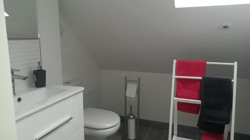 La salle de bains blanche est pourvue de toilettes et d'un lavabo. dans l'établissement Pause Messines Chez Thérèse, à Verlinghem