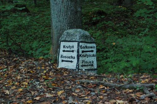 Gallery image of Stara Papiernia Zielony Lasek in Krutyński Piecek