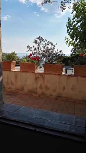 a concrete wall with flowers on a patio at B&B La Torretta in Maratea
