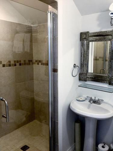 a bathroom with a sink and a shower at Ellis House Bed & Breakfast in Niagara Falls