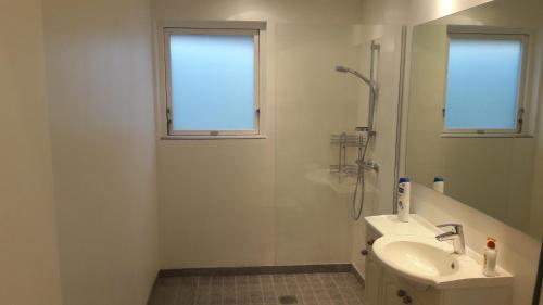 łazienka z prysznicem, umywalką i oknem w obiekcie Villa Copenhagen w Kopenhadze