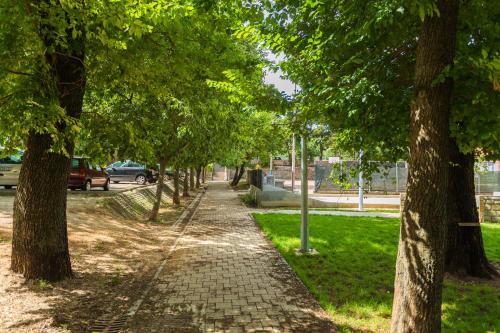 Perfect Apartment Chocolino