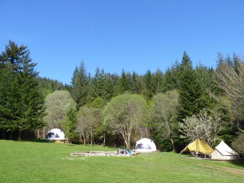 a group of tents in a field with trees at Inver Coille Campsite in Fort Augustus