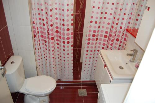 Koupelna v ubytování Niko-Max Apartment