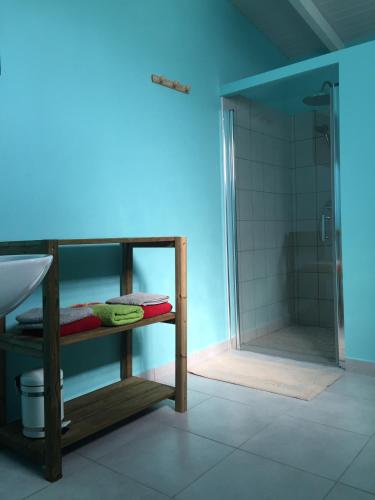 a bathroom with a shower and a sink at Gîtes La Simonière & Cars in Saint-François
