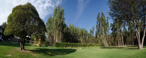 a green yard with trees and a house and a field at Centro Vacacional Huaychulo in Concepción