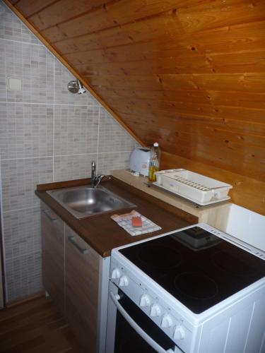 Köök või kööginurk majutusasutuses Apartment Rychtrovna