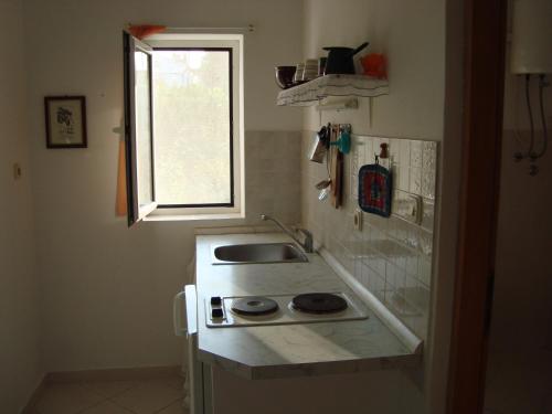 Kuchyň nebo kuchyňský kout v ubytování Apartments Lovor