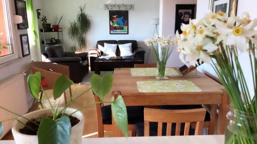 Orion Apartment 1