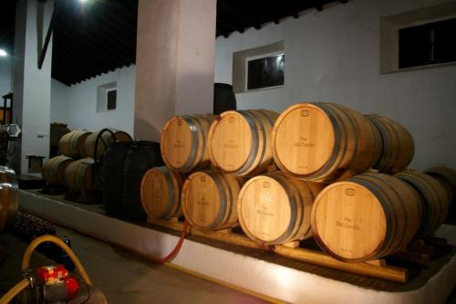 a bunch of wine barrels stacked in a room at Los Pozos de la Nieve in Constantina