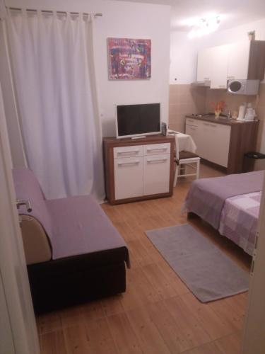 TV a/nebo společenská místnost v ubytování Apartmani Lomar
