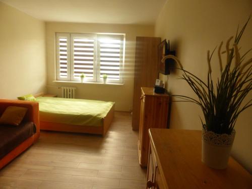 sala de estar con cama y ventana en Apartment Przymorze II en Gdansk