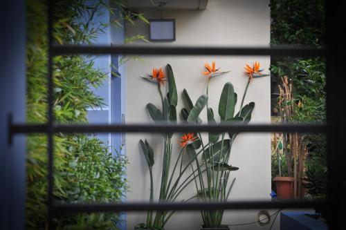 Taman di luar Agrinio ART Suites