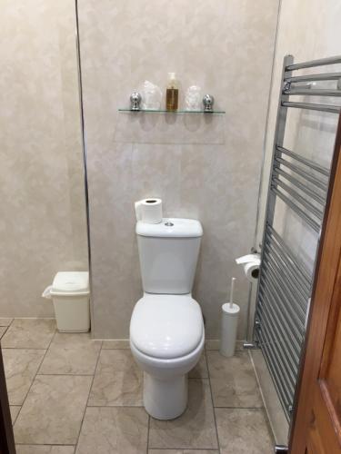 a bathroom with a toilet and a shower at The Greannan Bed & Breakfast in Blackwaterfoot