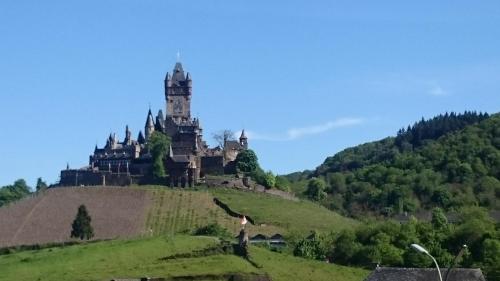 a castle on top of a grassy hill at Ferienwohnungen Am Bruttiger Moselsteig in Bruttig-Fankel