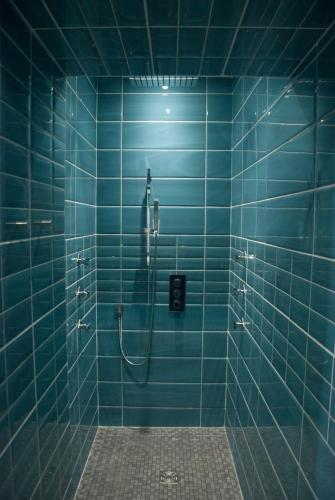 La salle de bains bleue est pourvue d'une douche avec du carrelage bleu. dans l'établissement Appartement Du Fau De La Roque, à Villefranche-de-Rouergue