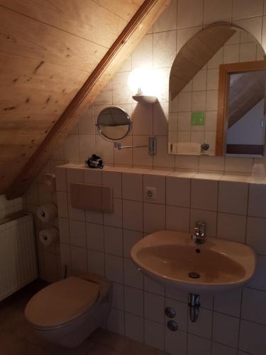 ein Bad mit einem Waschbecken und einem WC in der Unterkunft Bergpension Lang in Mitterteich