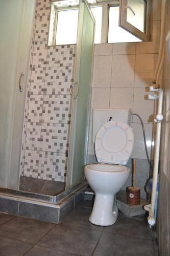 a bathroom with a toilet and a shower at Hostel Valentin 2 in Skopje