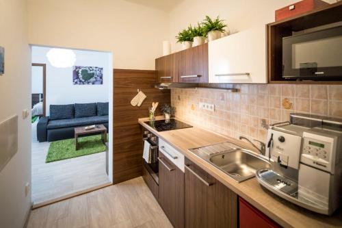 une cuisine avec un évier et un canapé dans une chambre dans l'établissement Apartmán Dolní náměstí, à Olomouc
