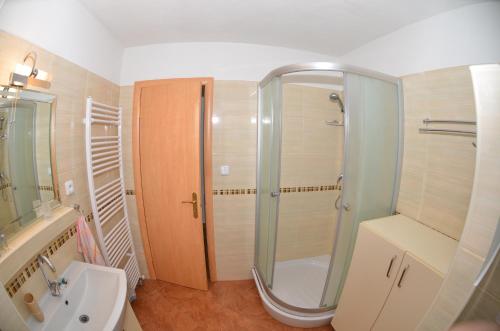 Koupelna v ubytování Apartman Nová Lesna