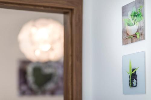 a mirror with a picture of a potted plant at Apartmán Dolní náměstí in Olomouc