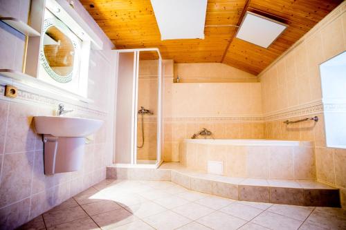a bathroom with a sink and a bath tub and a sink at Chalupa Přeslička in Rejvíz