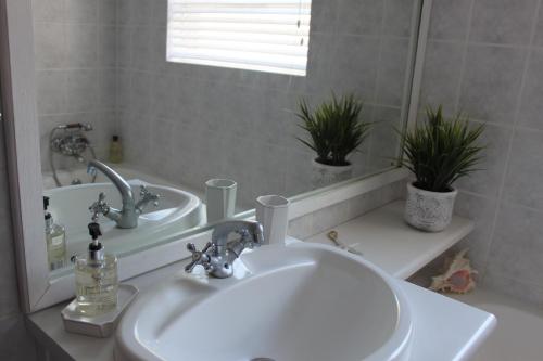 a bathroom with a sink and a mirror and two plants at SEAesta in Gansbaai