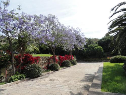 a garden with purple flowers and trees and a sidewalk at Eco Village Baia Delle Ginestre in Teulada