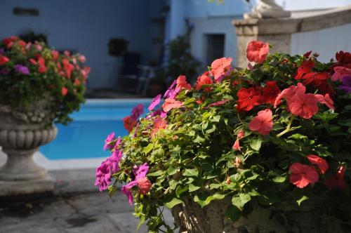 Villa Annamaria B&B – Photos 5
