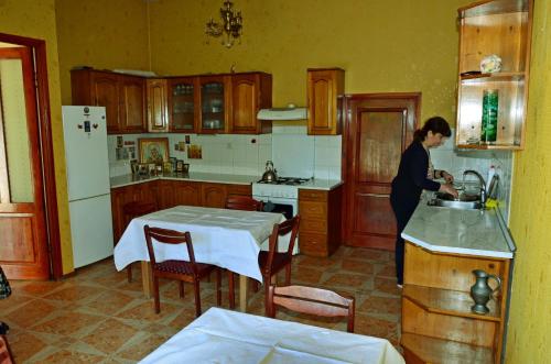 Kuchyň nebo kuchyňský kout v ubytování Boutique Hotel Eco-House Tbilisi