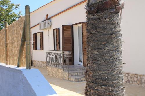 uma palmeira em frente a uma casa em Casa Sole e Vento em Birgi Vecchi