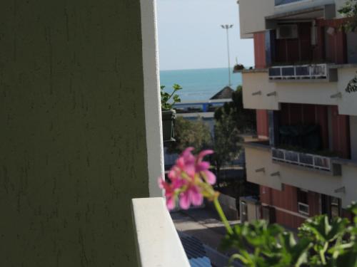 a pink flower sitting on the side of a building at Hotel ai Fiori in Grado