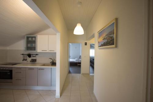 Η κουζίνα ή μικρή κουζίνα στο Apartment Šoša