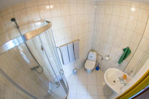 a bathroom with a shower and a toilet and a sink at Usługi Hotelarskie Małgosia i Andrzej Danowski in Grajewo