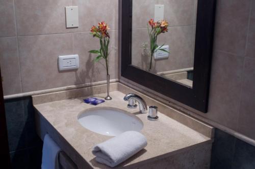 lavabo con espejo y jarrón de flores en Cabañas del Golf en La Cumbre