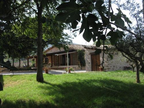 Κήπος έξω από το Pietra Maula Agriturismo