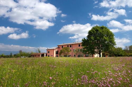 a building in the middle of a field with flowers at Tenuta San Giovanni Lucca in Lucca