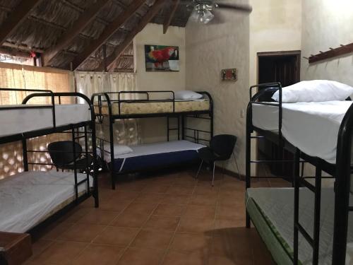 a room with several bunk beds in a room at La Palapa Hut Nature Hostel in Puerto Jiménez