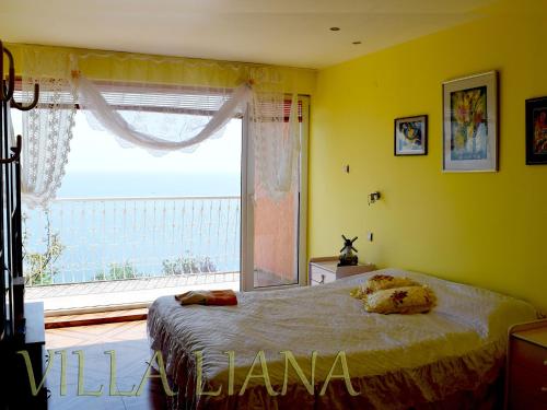 a bedroom with a bed and a large window at Villa Liana in Bozhurets