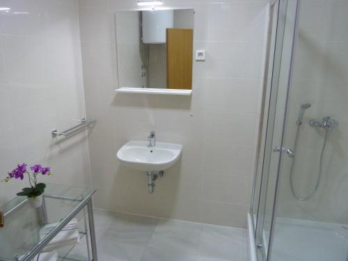 La salle de bains est pourvue d'un lavabo et d'une douche. dans l'établissement Apartment Ivan-Experience 3 Bedrooms, à Ljubuški