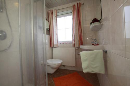 a bathroom with a toilet and a sink and a window at Haus Gugglberger in Hainzenberg
