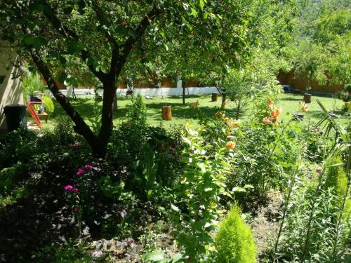 a garden with a tree and some flowers at Riverside Guesthouse in Počitelj